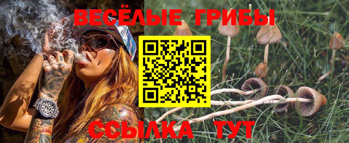 Кохма  Галлюциногенные грибы мухоморы  Вход с VPN  Галлюциногенные грибы Magic Shrooms 