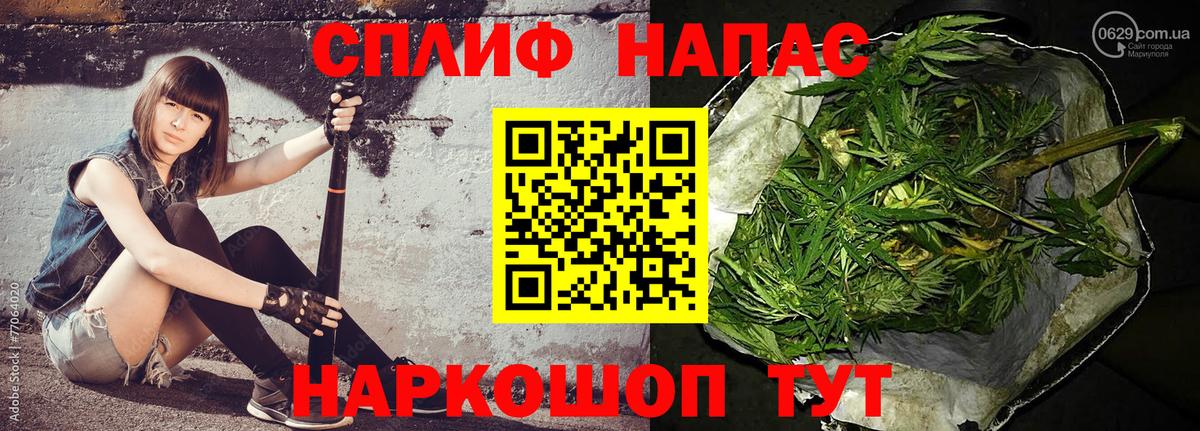 Марихуана гибрид Кохма
